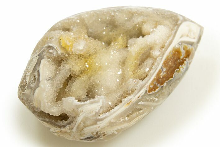 Chalcedony Replaced Gastropod With Sparkly Quartz - India #318717
